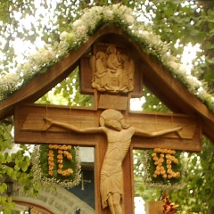 остров 24 августа 2011-04