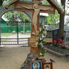 11 Николаевские чтения и остров