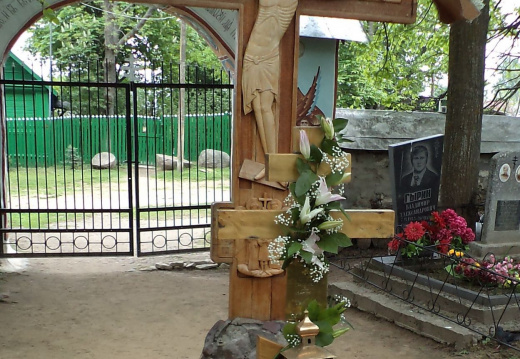 11 Николаевские чтения и остров