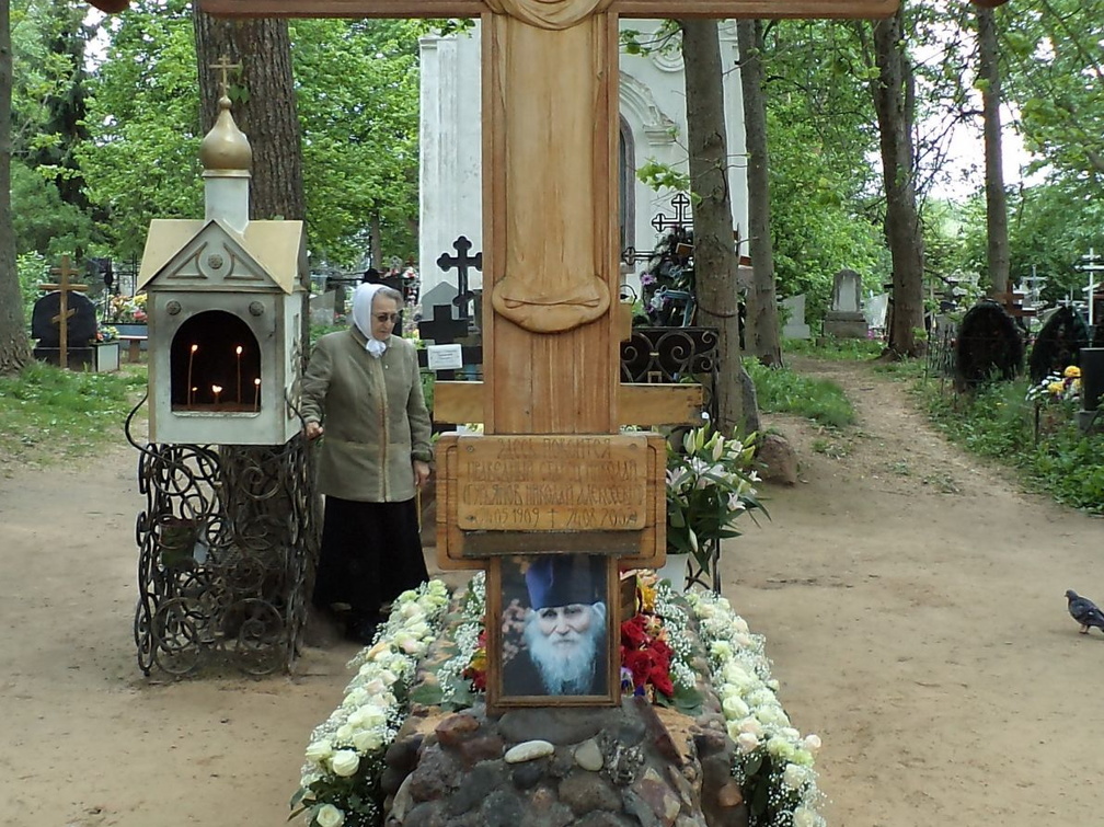 11 Николаевские чтения и остров