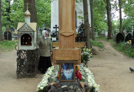 11 Николаевские чтения и остров